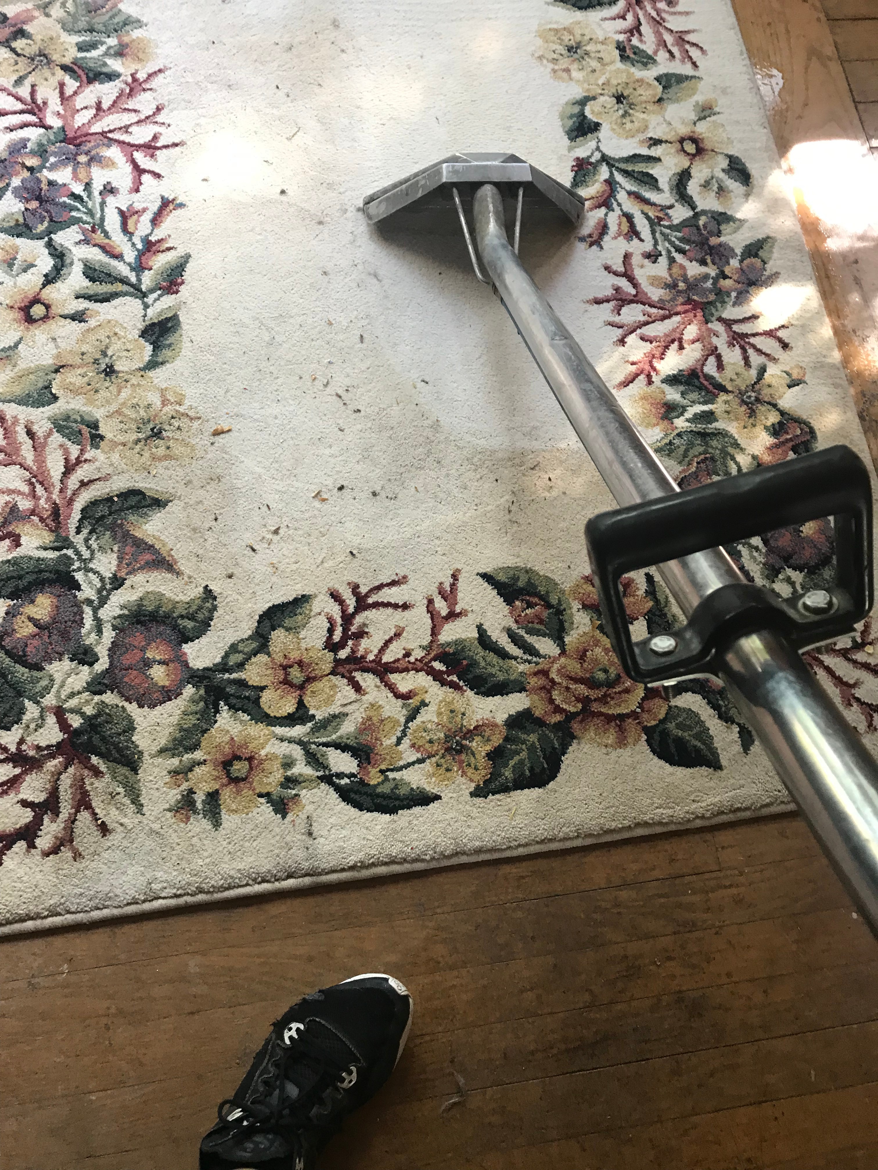 Professional extraction equipment cleaning a decorative floral area rug in a home